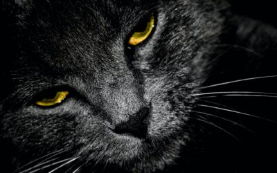 Five never-proved superstitions that are still widely believed