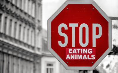 Five important reasons not to eat meat