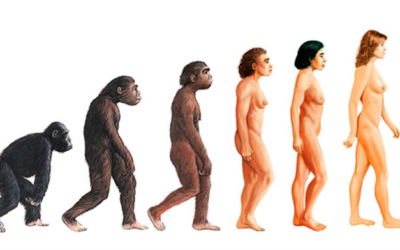 Reincarnation and our evolutionary journey