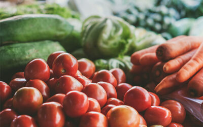 What Should We Eat To Stay Healthy?